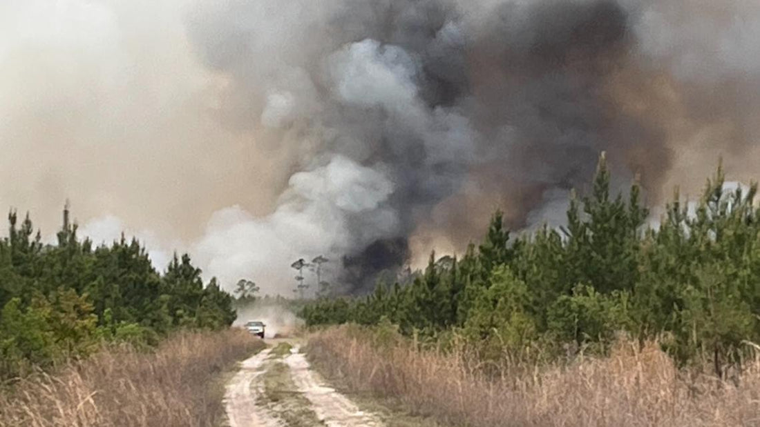 Georgia Wildfires: Why Every Community Needs to Be Ready Before Disaster Strikes